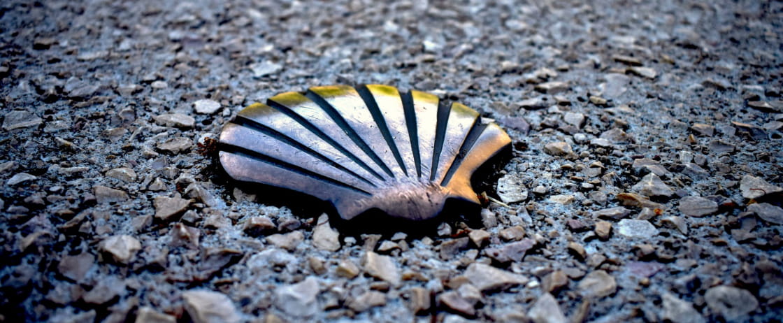 Lundi de Pâques : Votre VTC  reste à votre service sur les chemins de Compostelle